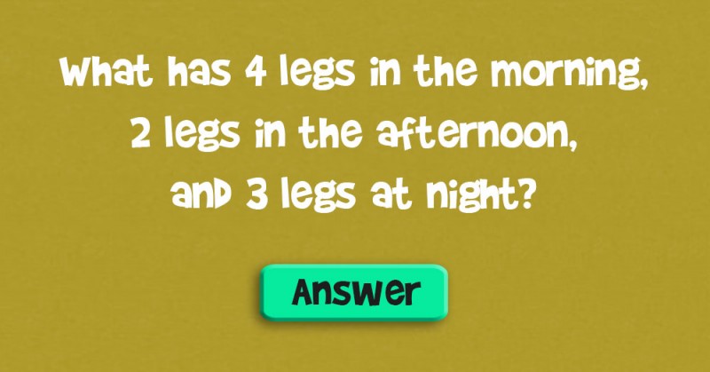 it has 4 legs in the morning