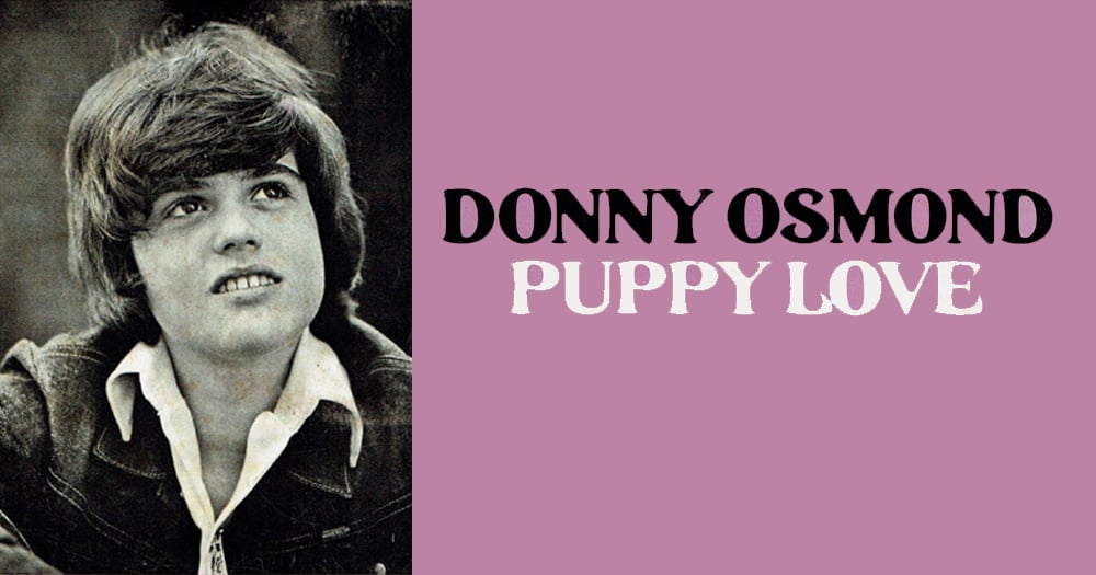 Donny Osmond: "Puppy Love" .