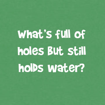 What’s Full of Holes but Still Holds Water? - Do You Remember?