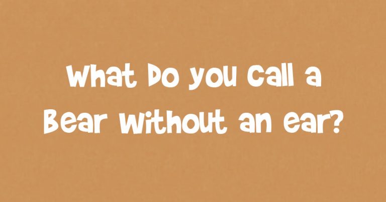 What Do You Call A Bear Without An Ear DoYouRemember 