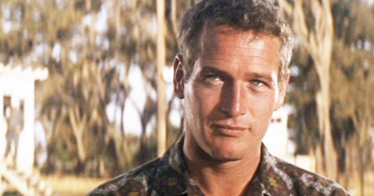 7 Reasons Paul Newman Was The Ultimate All-American Dreamboat | Do You ...