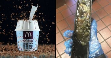 Former McDonald’s Employee Unearths Gross Find. Not The McDonald's We Grew Up With