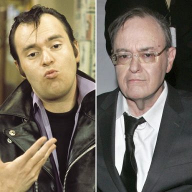 Laverne And Shirley Cast – Where Are They Now? | DoYouRemember?