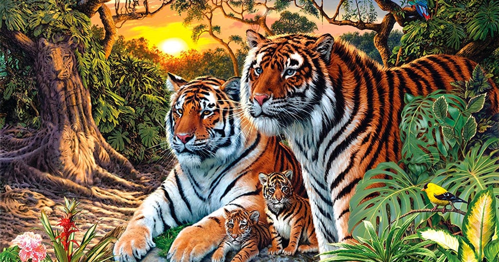 How Many Tigers Can You Spot in this Picture?