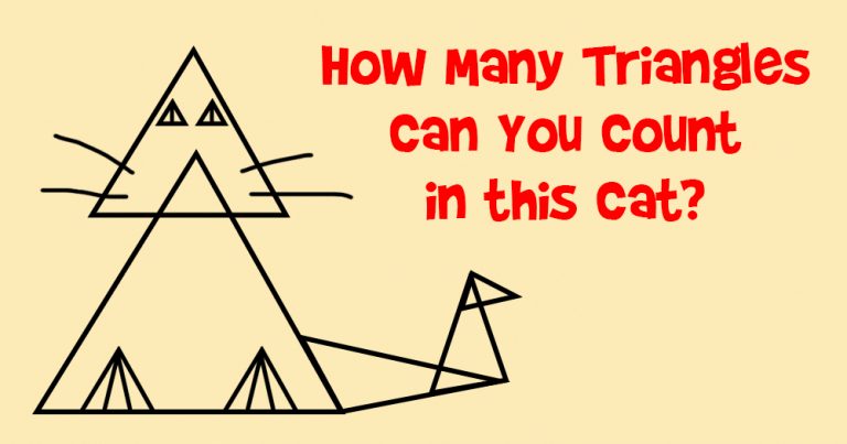 how-many-triangles-can-you-count-in-this-cat-doyouremember