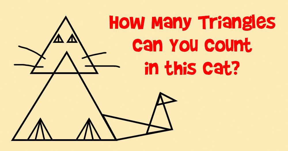 How Many Triangles can You Count in this Cat?