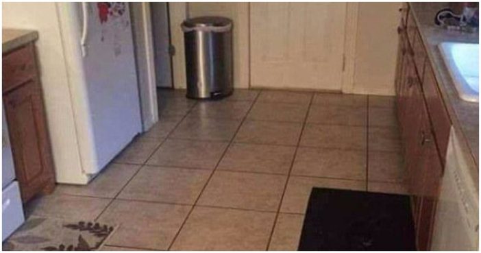 Can You Spot A Big Dog Hiding In This Very Ordinary Kitchen?