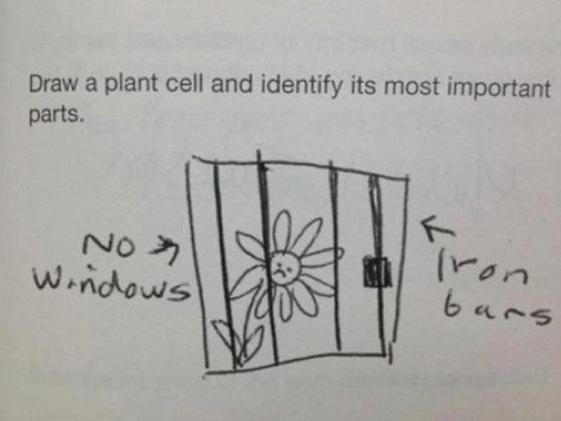 funny kid math test answers