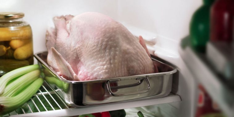 Make The Best Thanksgiving Turkey With Butterball Hotline Tips ...