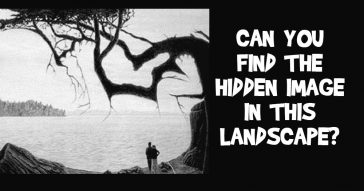 Can You Find the Hidden Image in this Landscape?