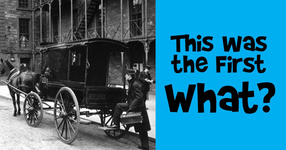This Horse Carriage Was the First of it’s Kind. What Was it?