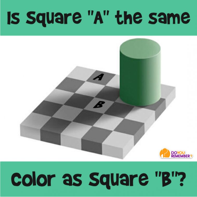 Are Both Squares the Same Shade of Gray? | DoYouRemember?