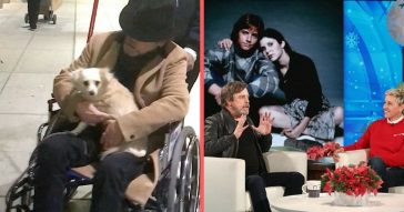 Fragile-Looking Mark Hamill, 66, Is Helped Through New York Airport In A Wheelchair
