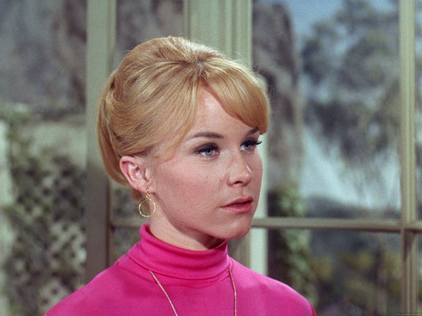 Heather North Voice Of Daphne From Scooby Doo Dies At 71 5049