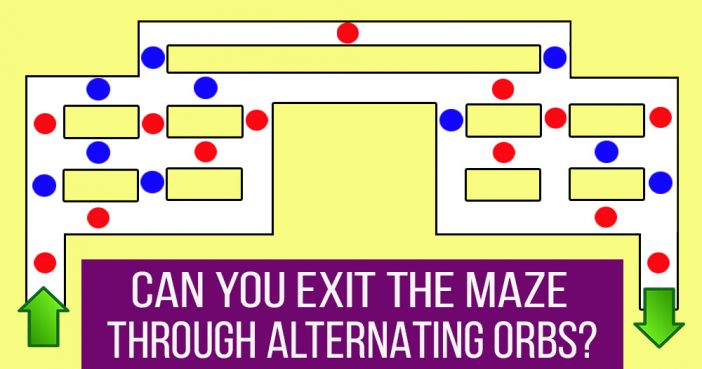 Can You Exit The Maze Through Alternating Color Circles?
