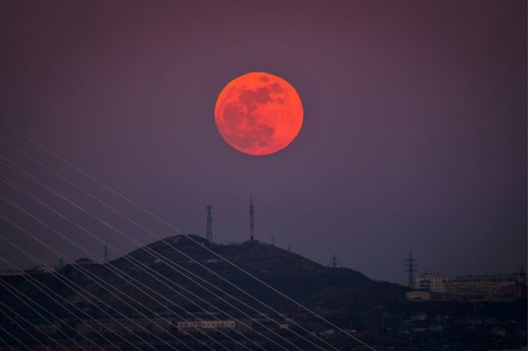 10+ Of The Best Shots Of The 2018 'Super Blue Blood Moon' Eclipse ...