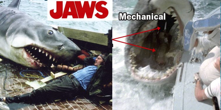 40-jaw-dropping-facts-you-probably-never-knew-about-jaws-doyouremember