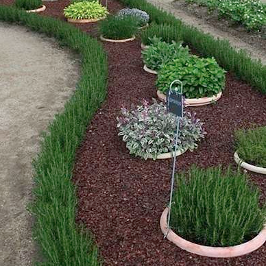 Incredible Gardening Ideas That Will Make Your Neighbors Jealous ...