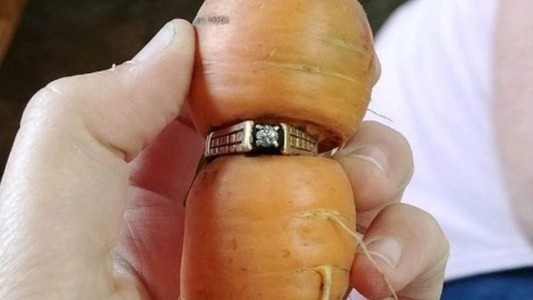 the engagement ring found after 13 years on a carrot 