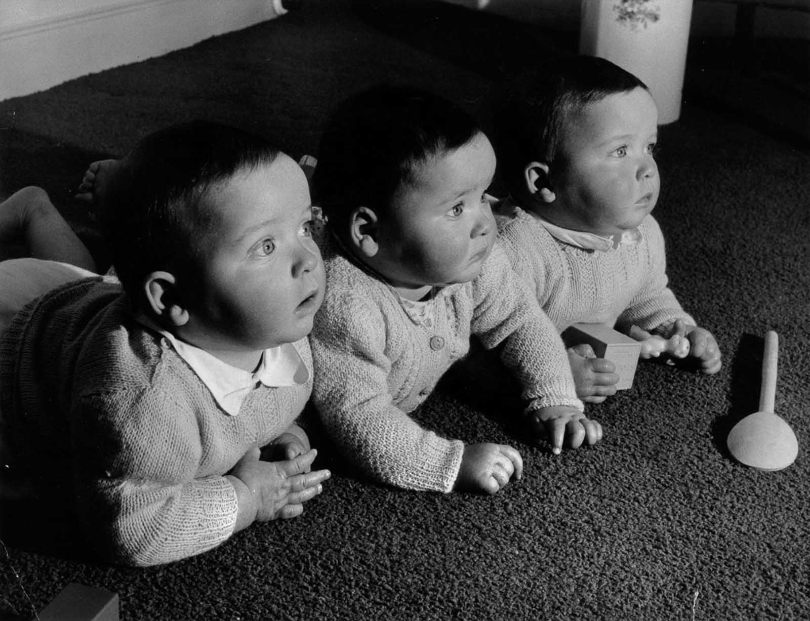 These Historical Photos Communicate How Huge The Baby Boom Was