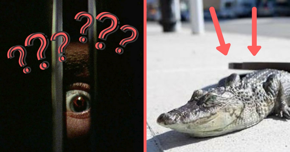 10 Creepy Urban Legends That Turned Out To Be True