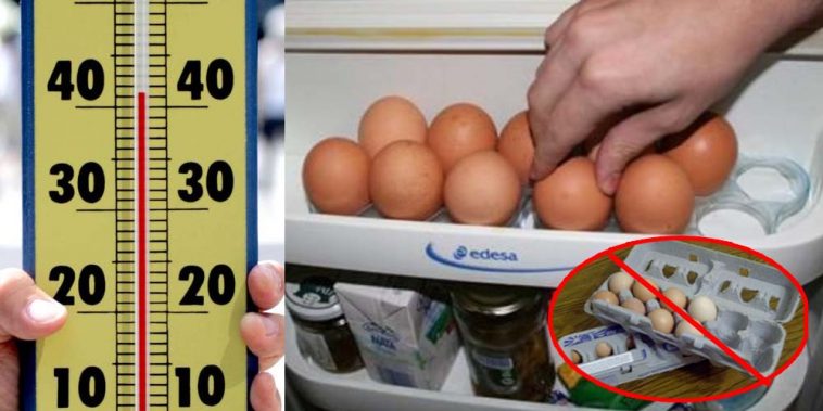 Why Americans Refrigerate Their Eggs When Other Countries Don't