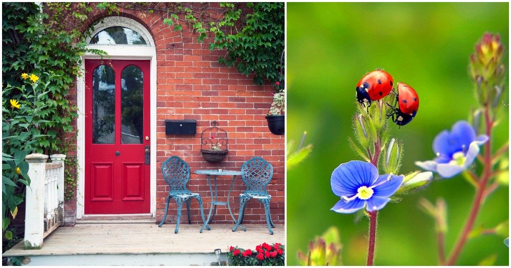 do-you-remember-the-site-that-takes-you-back