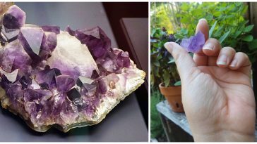 amethyst crystals