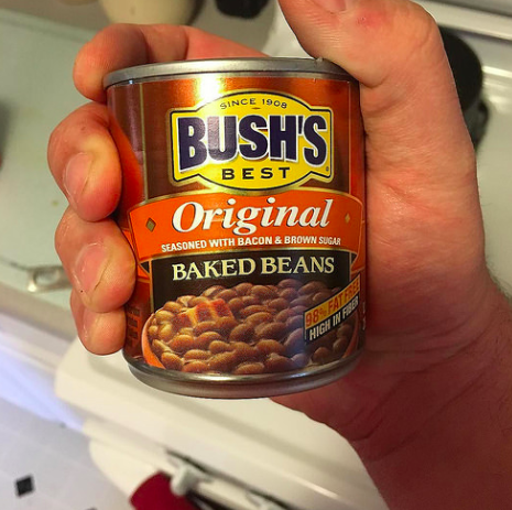 The Dog Who Played Duke In Bush's Baked Beans Commercials Died