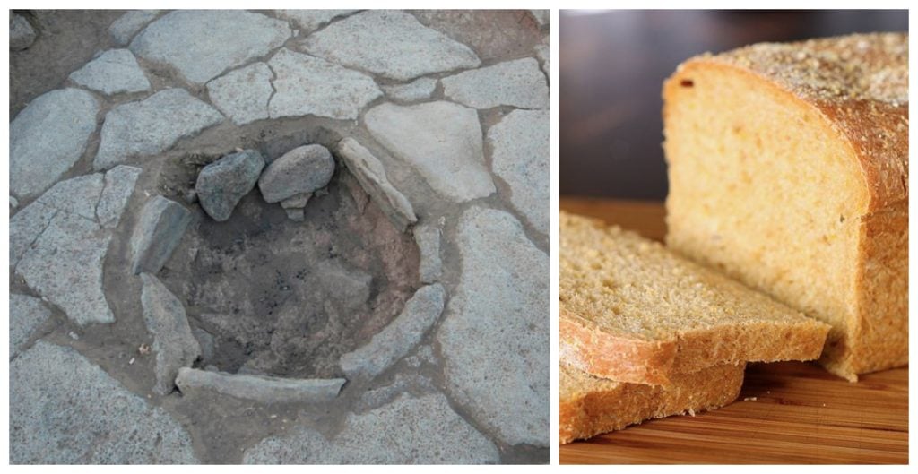 Archeologists Have Discovered The World's Oldest Bread Was Baked 14,400 ...