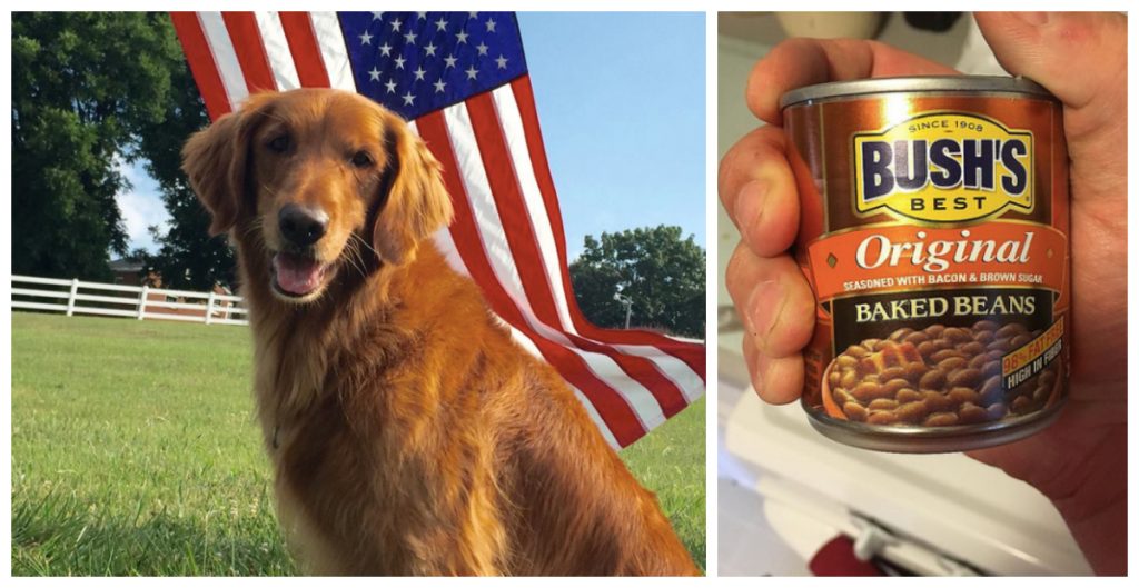 The Dog Who Played Duke In Bush's Baked Beans Commercials Died