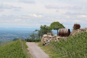 Wine Barrel Hotel Germany