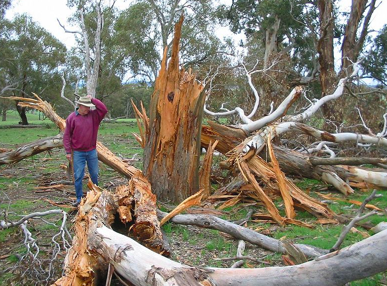 lightning damage