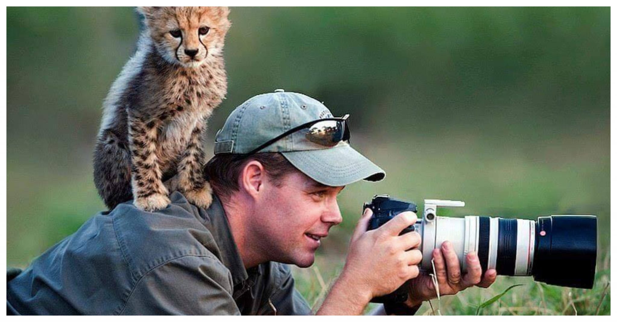 Фотографы дикой природы
