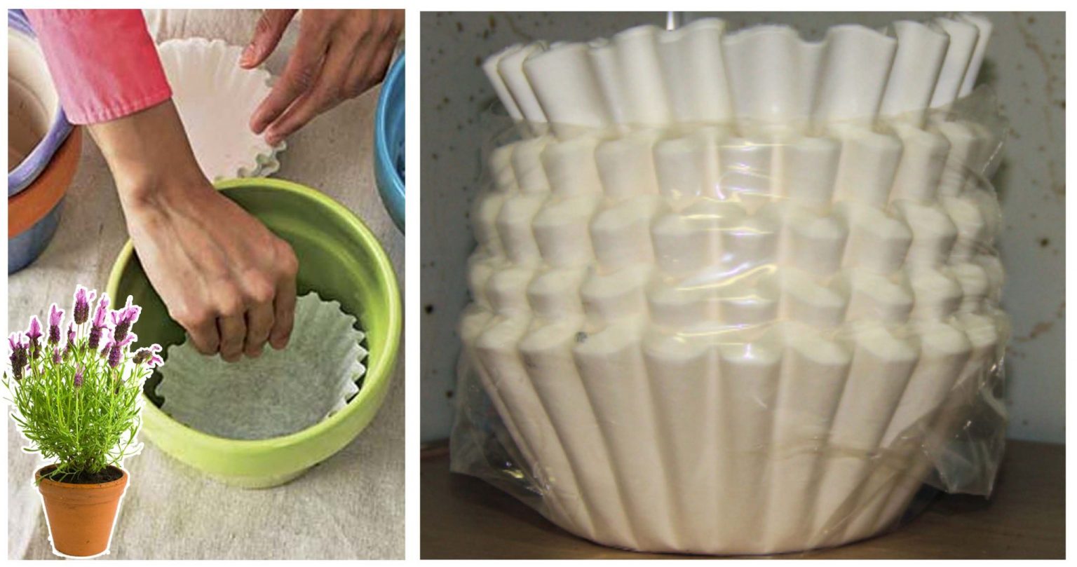 11 Uses For Coffee Filters That Will Make Your Life Easier