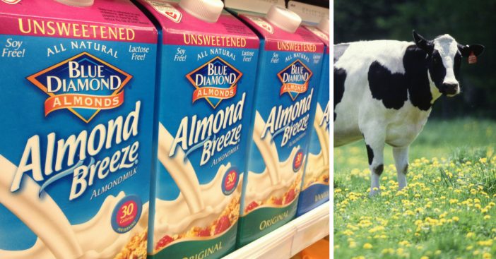 almond-milk-recall