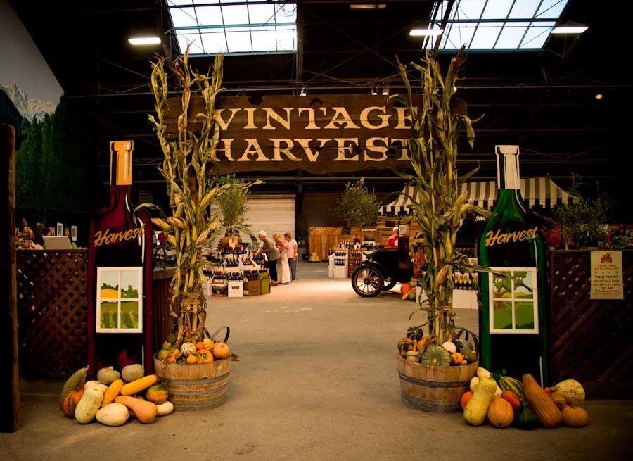 vintage harvest