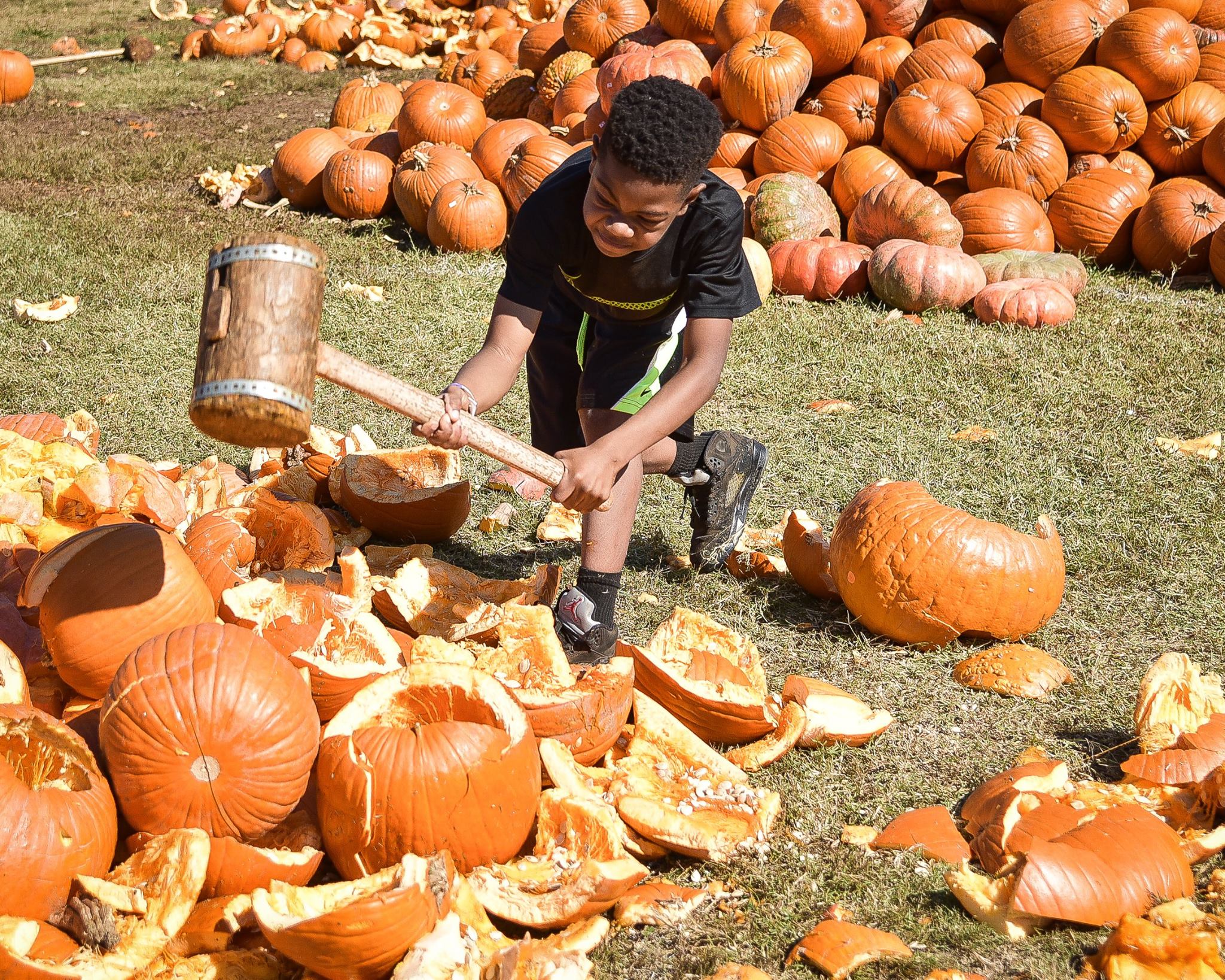 pumpkins