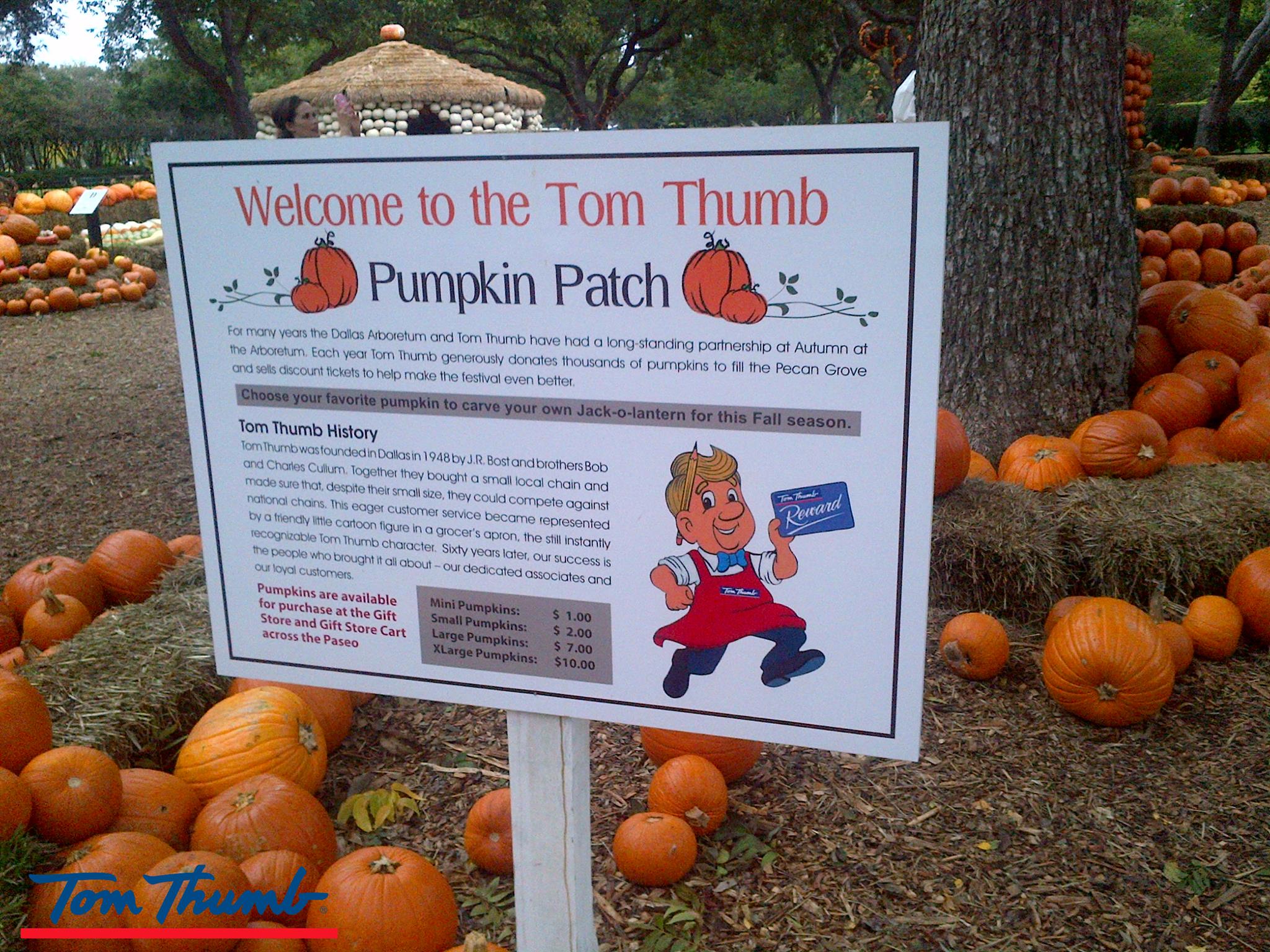 tom thumb