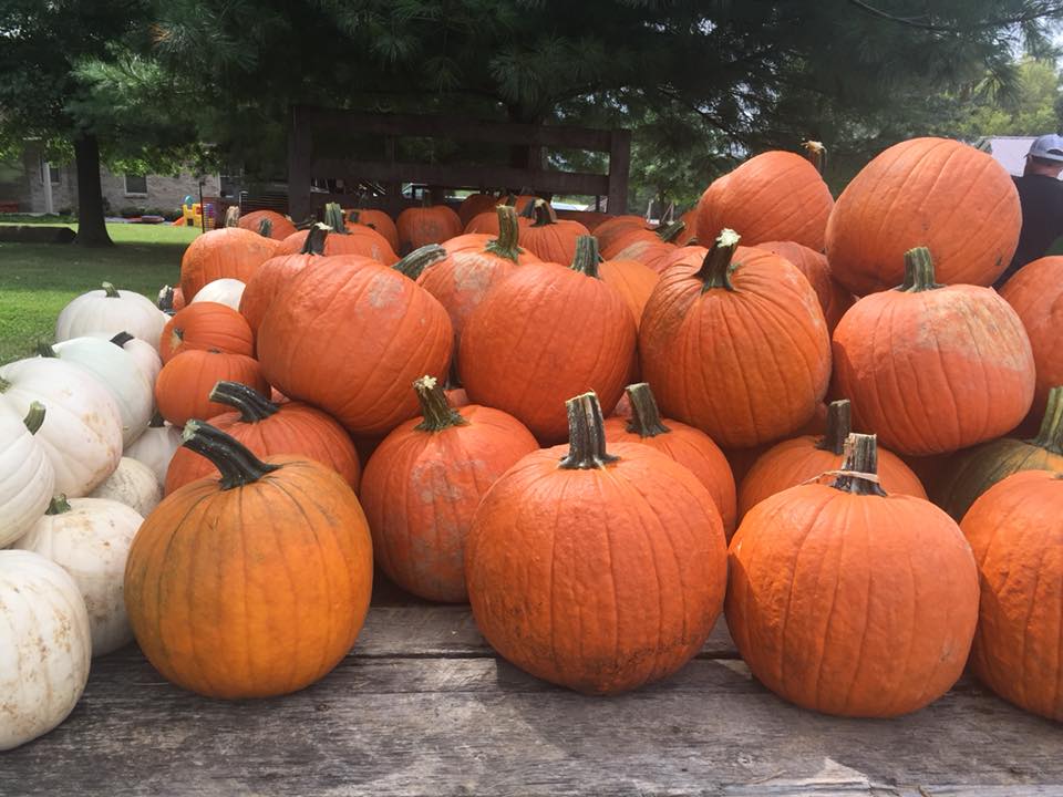 country pumpkins