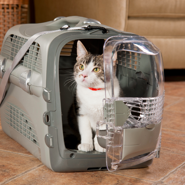 cat crate