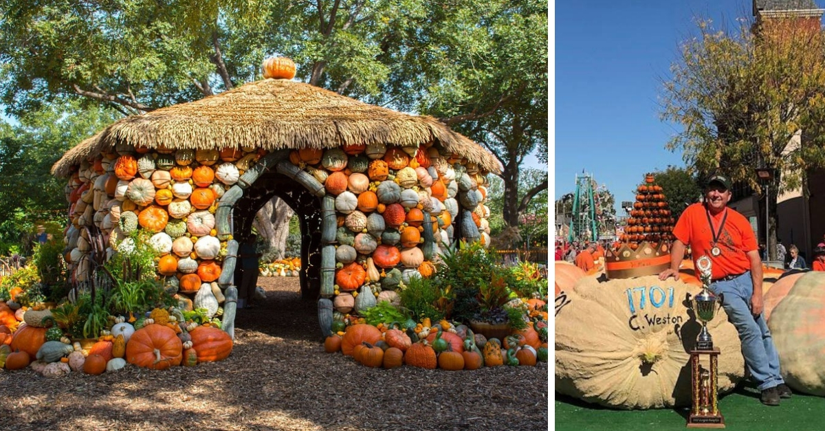 the-10-best-fall-festivals-in-mississippi-that-ll-make-your-autumn-awesome