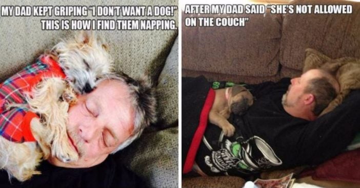 dads-dogs