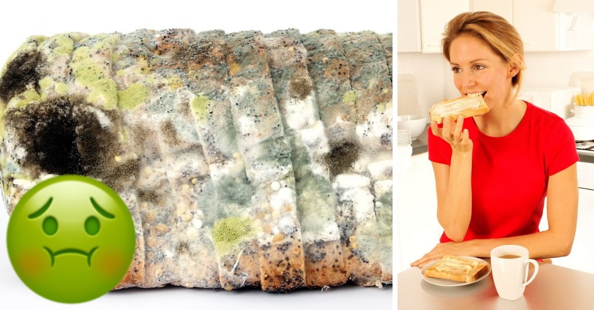 What Happens If You Breathe In Moldy Food