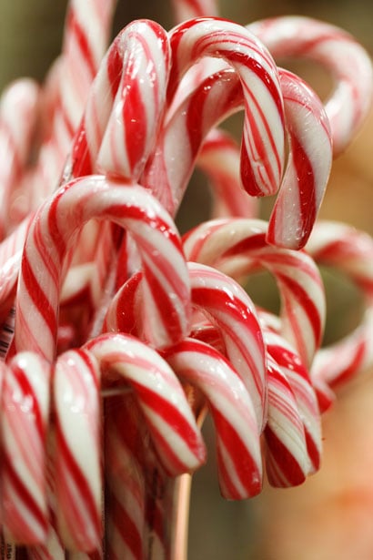 candy canes