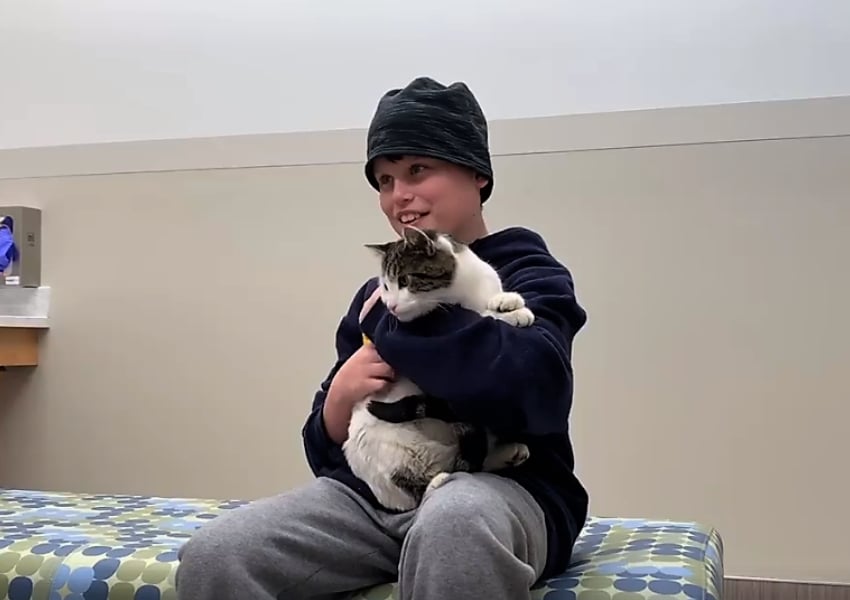 boy and cat