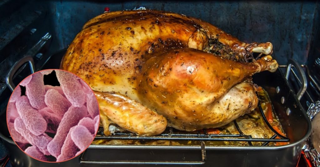 CDC Reports Deadly Salmonella Outbreak Connected To Turkey