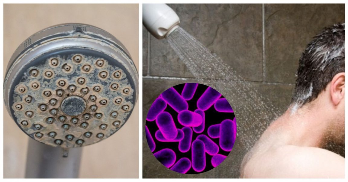 Your Showerhead Is Actually Really Gross And Might Make You Sick