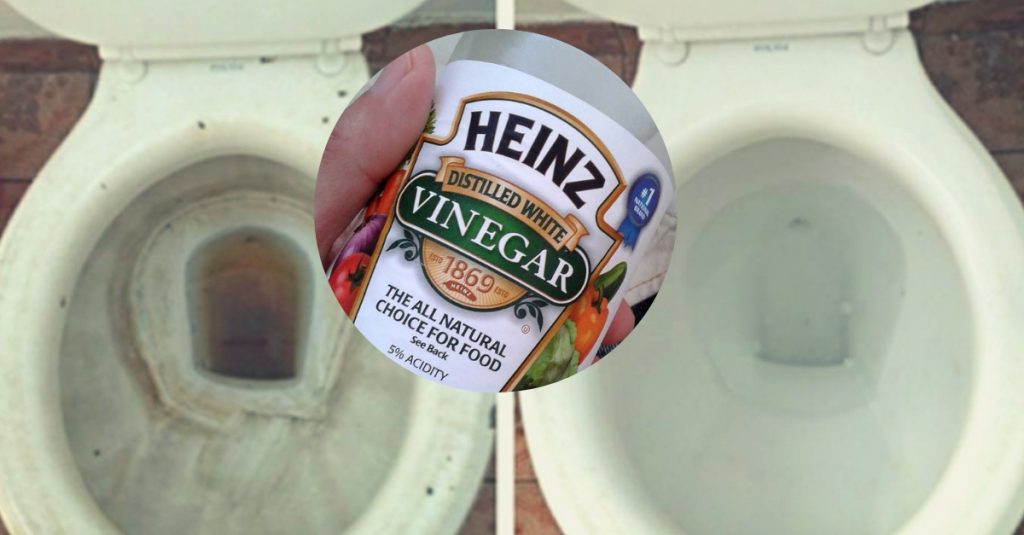 Here's What Happens When You Put Vinegar In Your Toilet