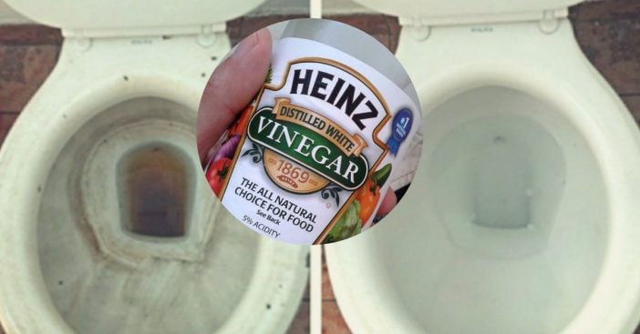 vinegar-toilets